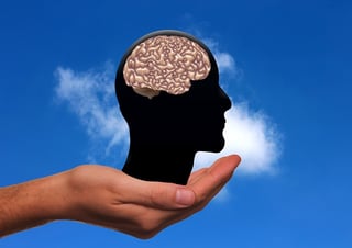 brain.jpg