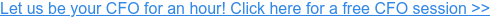 Let us be your CFO for an hour! Click here for a free CFO session >>
